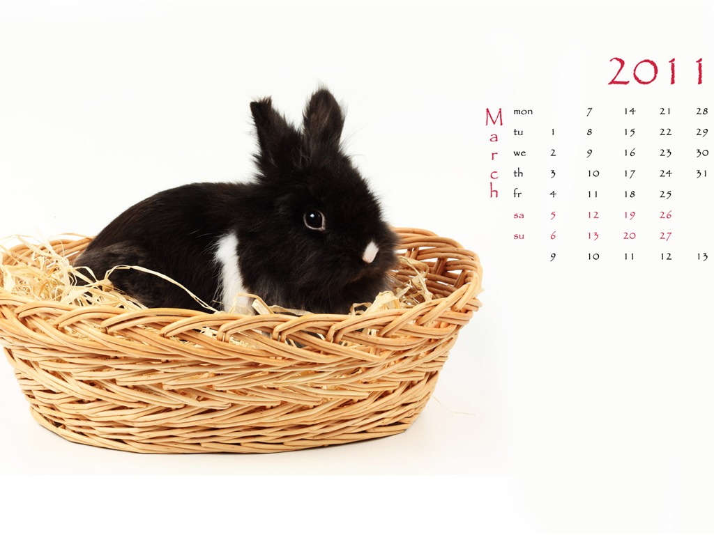 Año del Conejo fondos de escritorio calendario 2011 (1) #3 - 1024x768