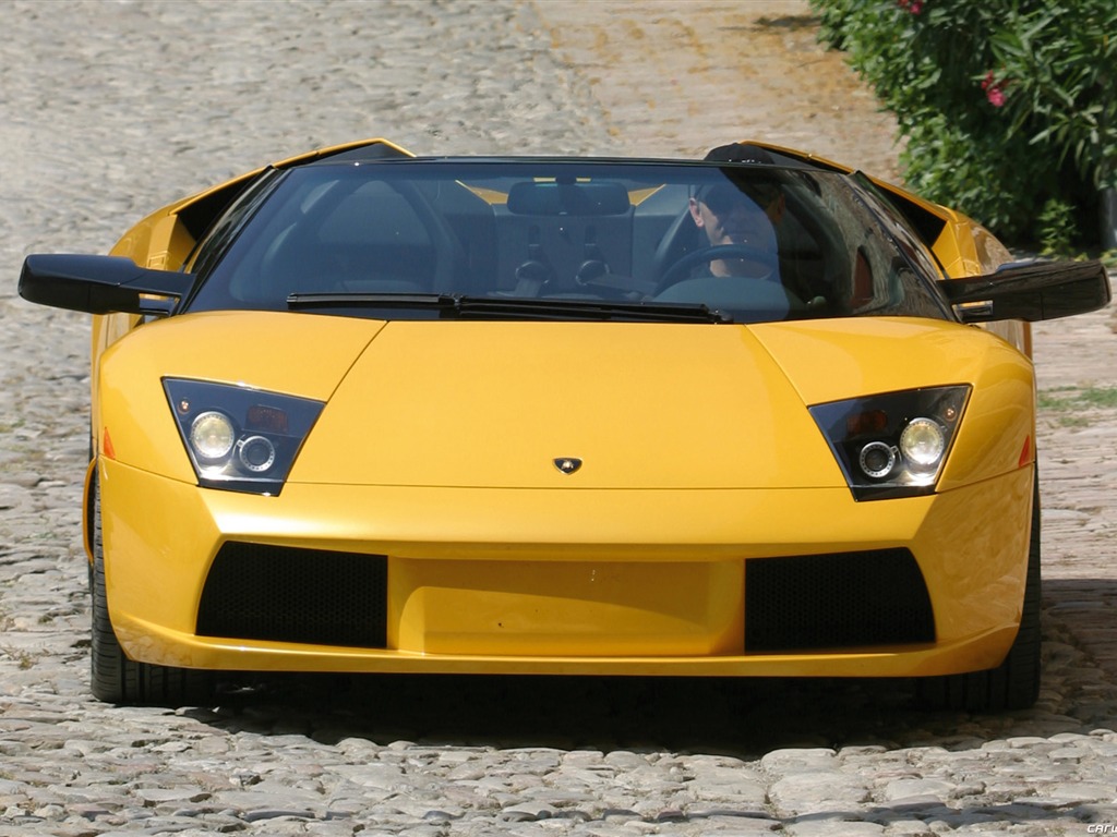 Lamborghini Murcielago Roadster - 2004 HD tapetu #1 - 1024x768