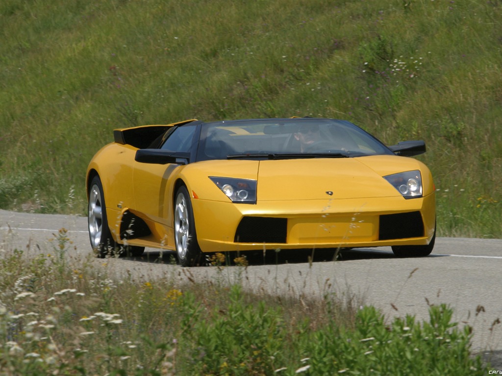 Lamborghini Murcielago Roadster - 2004 HD tapetu #7 - 1024x768