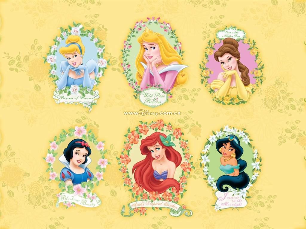 Princesa Disney de dibujos animados fondos de escritorio (1) #10 - 1024x768