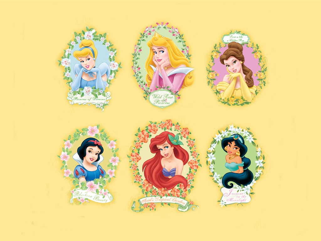 Princesa Disney de dibujos animados fondos de escritorio (4) #17 - 1024x768