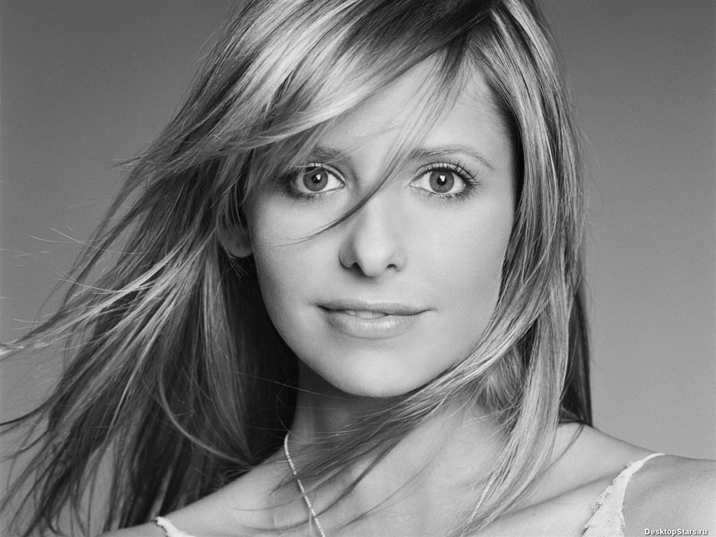 Sarah Michelle Gellar 莎拉·米歇尔·盖拉 美女壁纸(二)3 - 1024x768