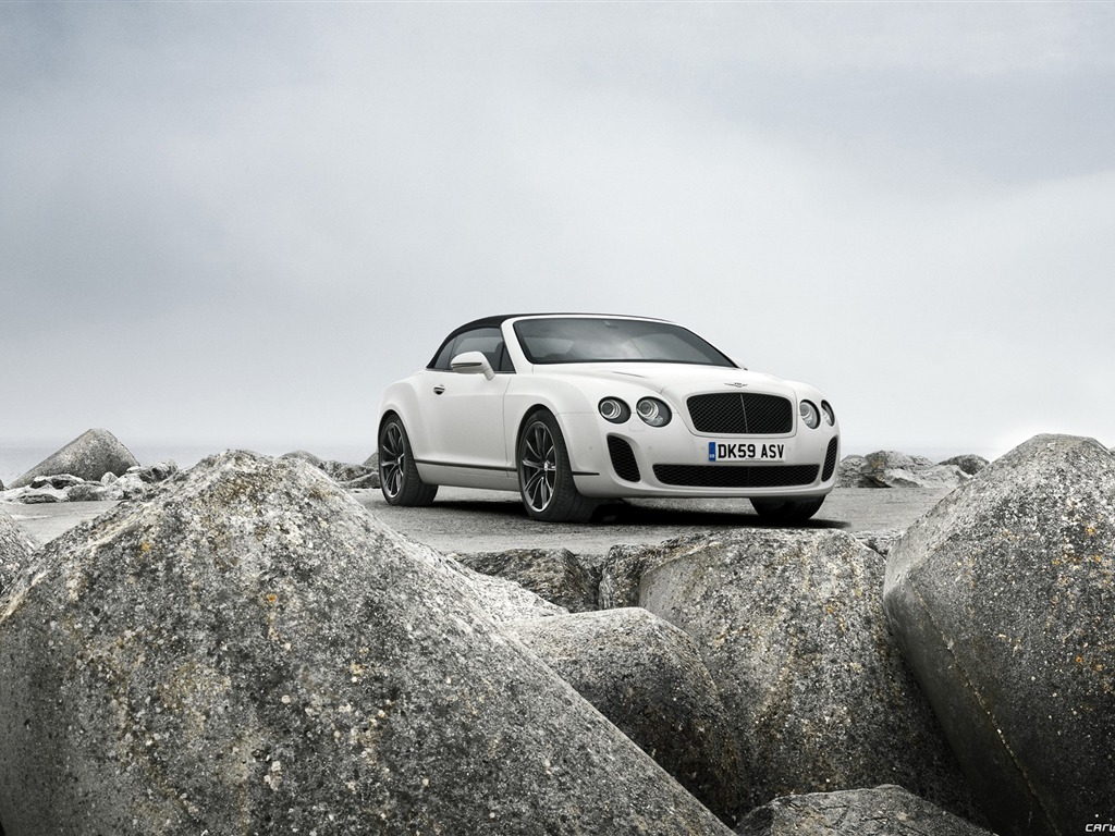 Bentley Continental Supersports Convertible - 2010 HD wallpaper #35 - 1024x768