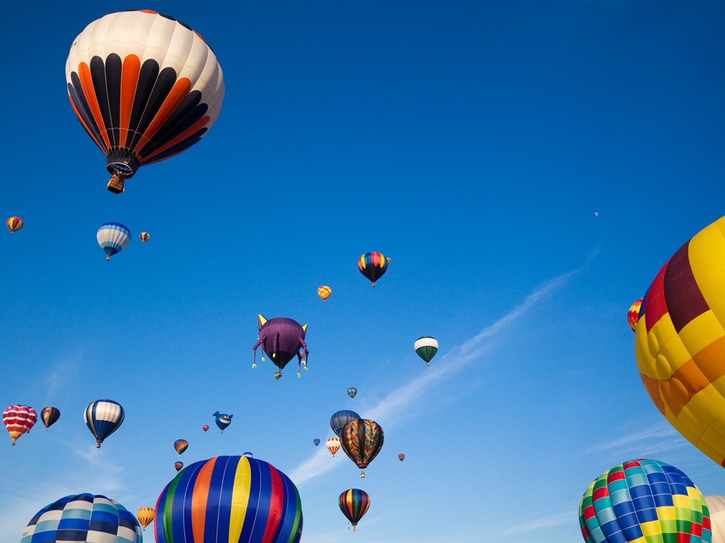 Colorful hot air balloons wallpaper (1) #5 - 1024x768