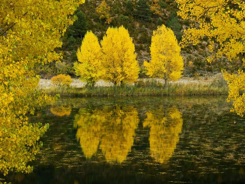 风光合集壁纸(65)17 - 1024x768