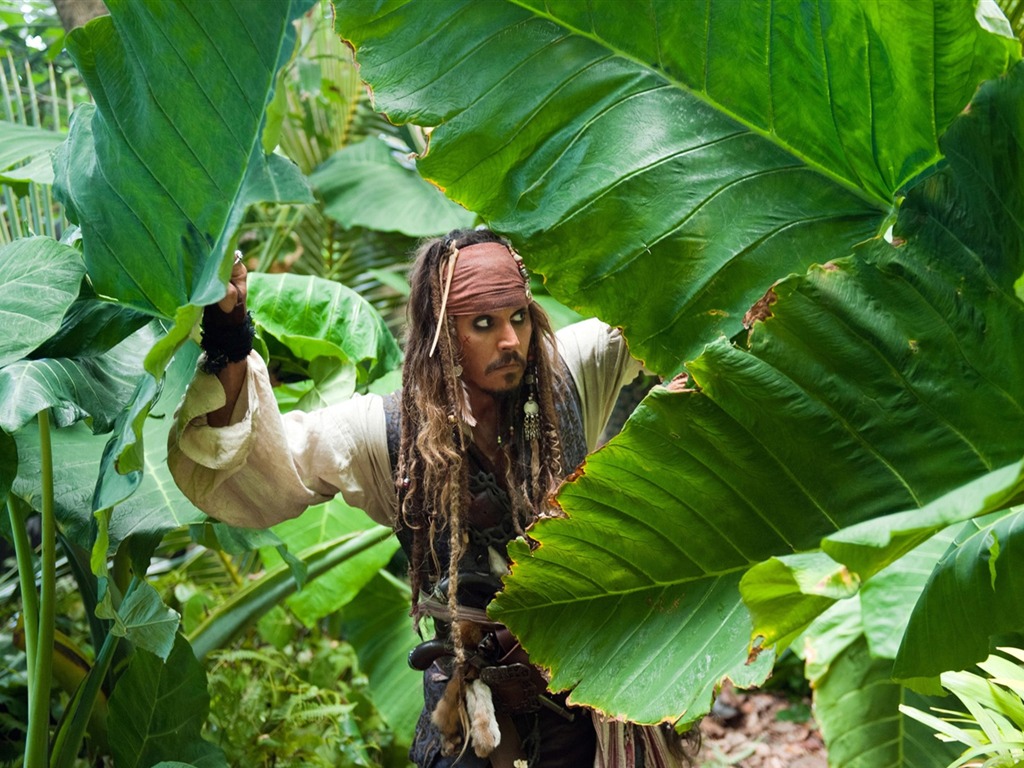 Pirates des Caraïbes: Le fonds d'écran Stranger Tides #7 - 1024x768