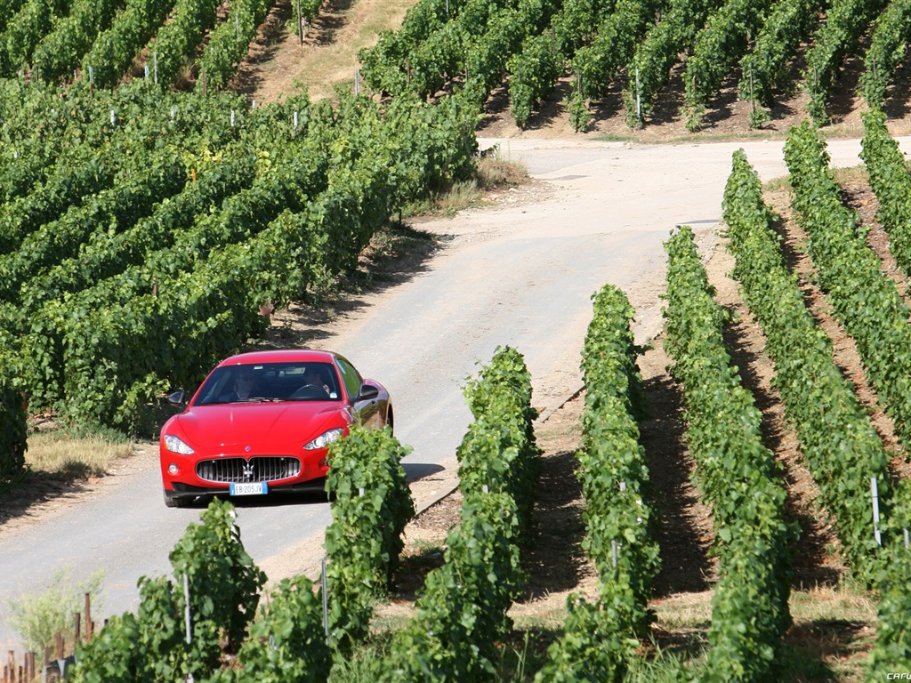 Maserati GranTurismo - 2010 HD обои #25 - 1024x768