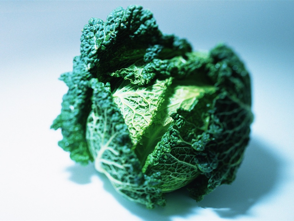 Обои зеленые здоровые овощи #10 - 1024x768
