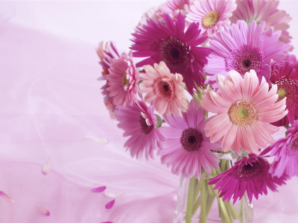 fleurs fond d'écran Widescreen close-up (33) #3 - 1024x768