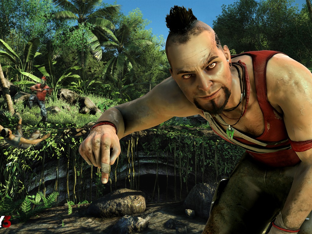 Far Cry 3 fonds d'écran HD #4 - 1024x768