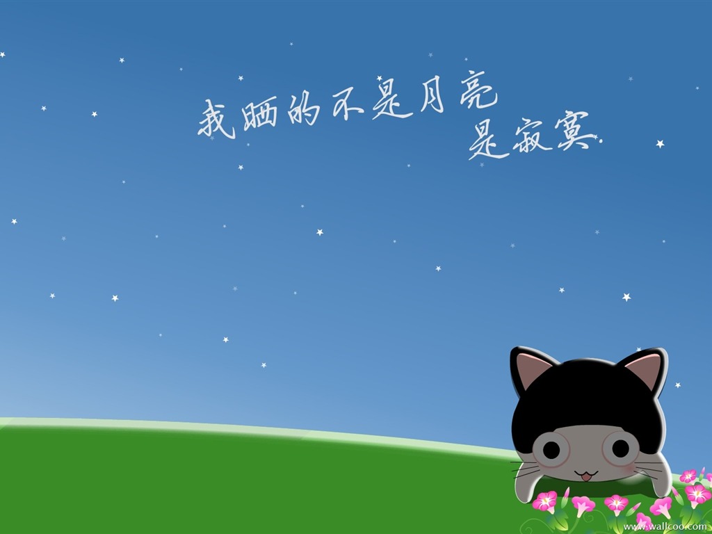 猫咪宝贝 卡通壁纸(三)17 - 1024x768
