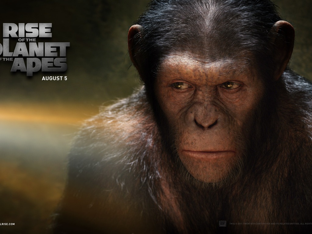 Rise of the Planet of Apes les fonds d'écran #1 - 1024x768