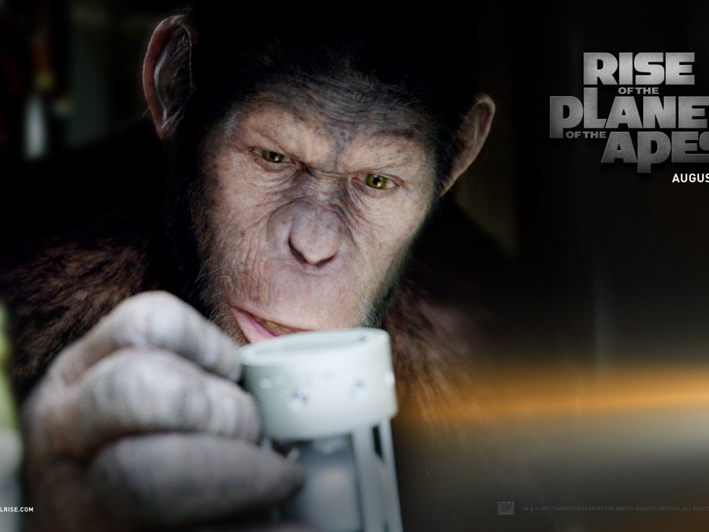 Rise of the Planet of Apes les fonds d'écran #3 - 1024x768