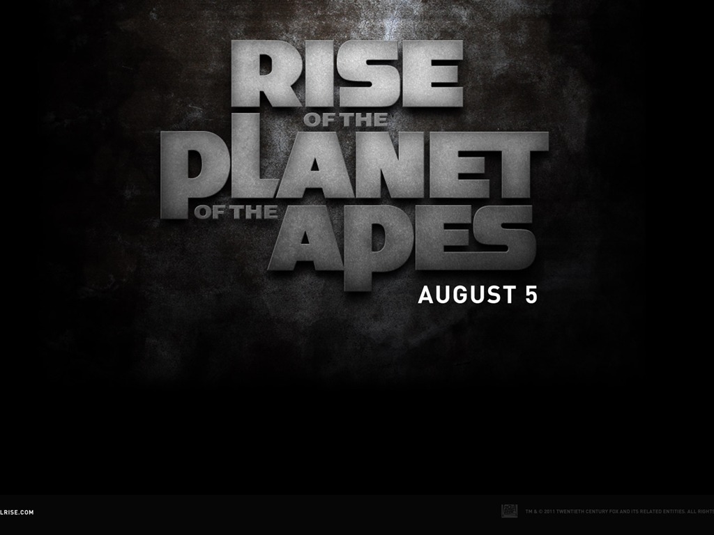 Rise of Planet of the Apes tapet #7 - 1024x768