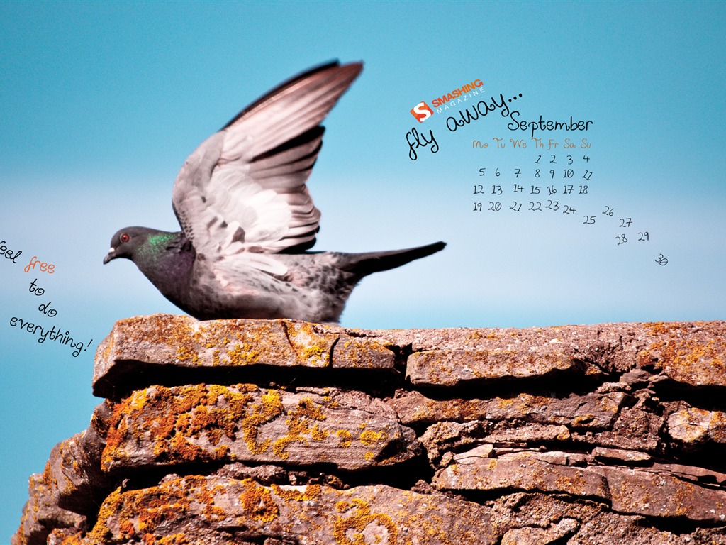 Сентябрь 2011 Календарь обои (1) #1 - 1024x768