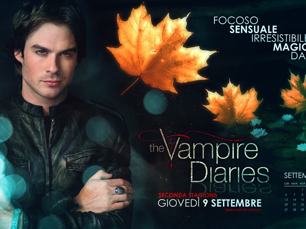 The Vampire Diaries HD 吸血鬼日记 高清壁纸16 - 1024x768