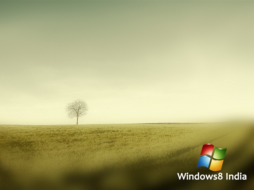 윈도우 8 테마 배경 화면 (1) #5 - 1024x768
