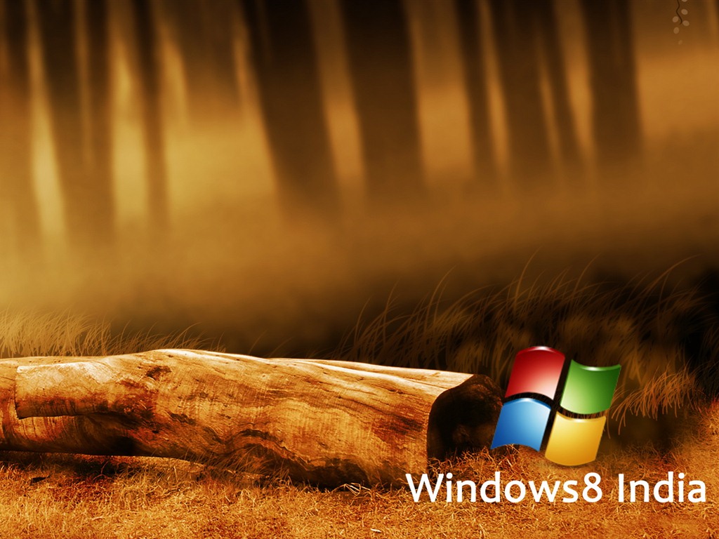 Windows 8 主題壁紙 (一) #8 - 1024x768