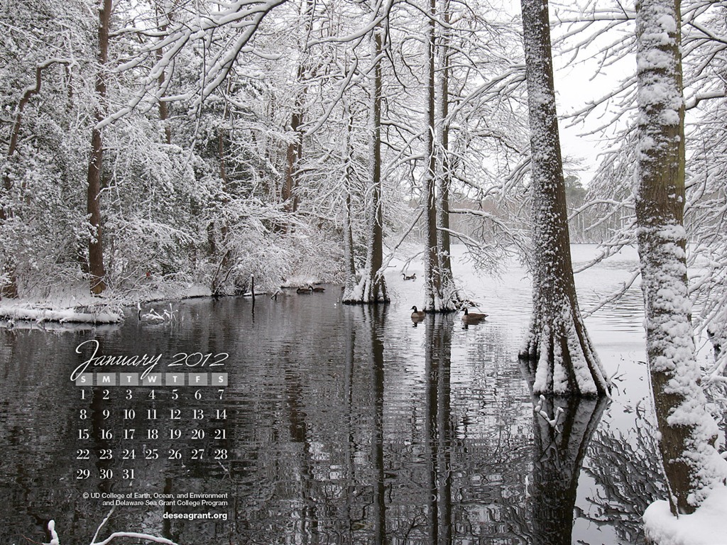 Январь 2012 Календарь Обои #2 - 1024x768