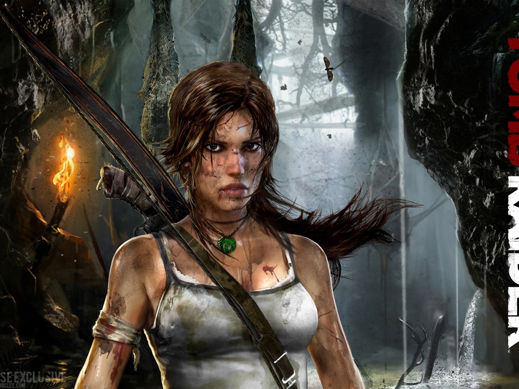 Tomb Raider 9 fonds d'écran HD #1 - 1024x768
