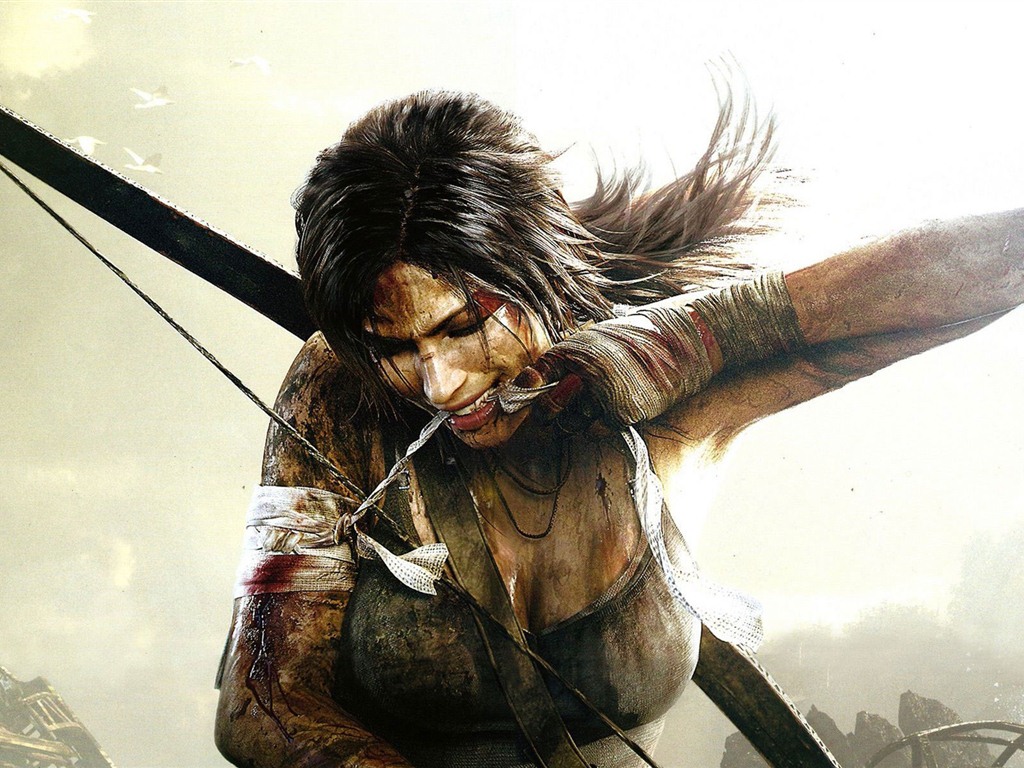 Tomb Raider 9 HD wallpapers #2 - 1024x768