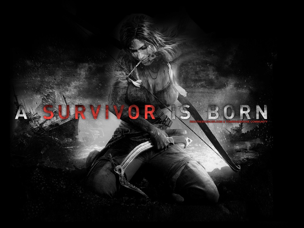 Tomb Raider 9 fonds d'écran HD #8 - 1024x768
