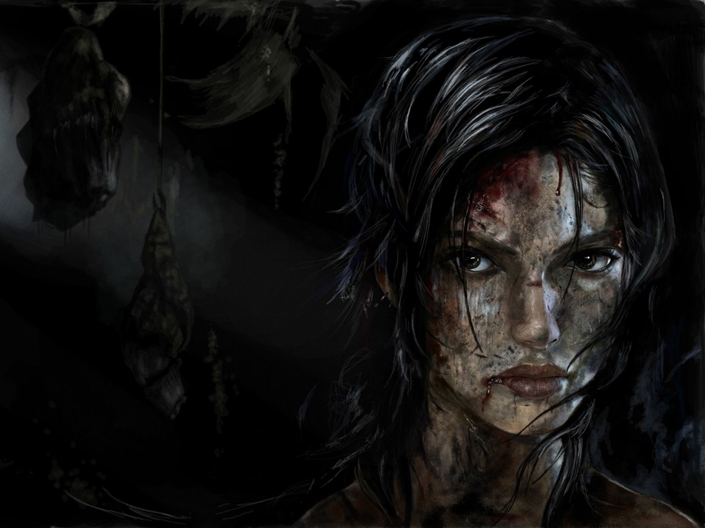 Tomb Raider 9 HD обои #12 - 1024x768