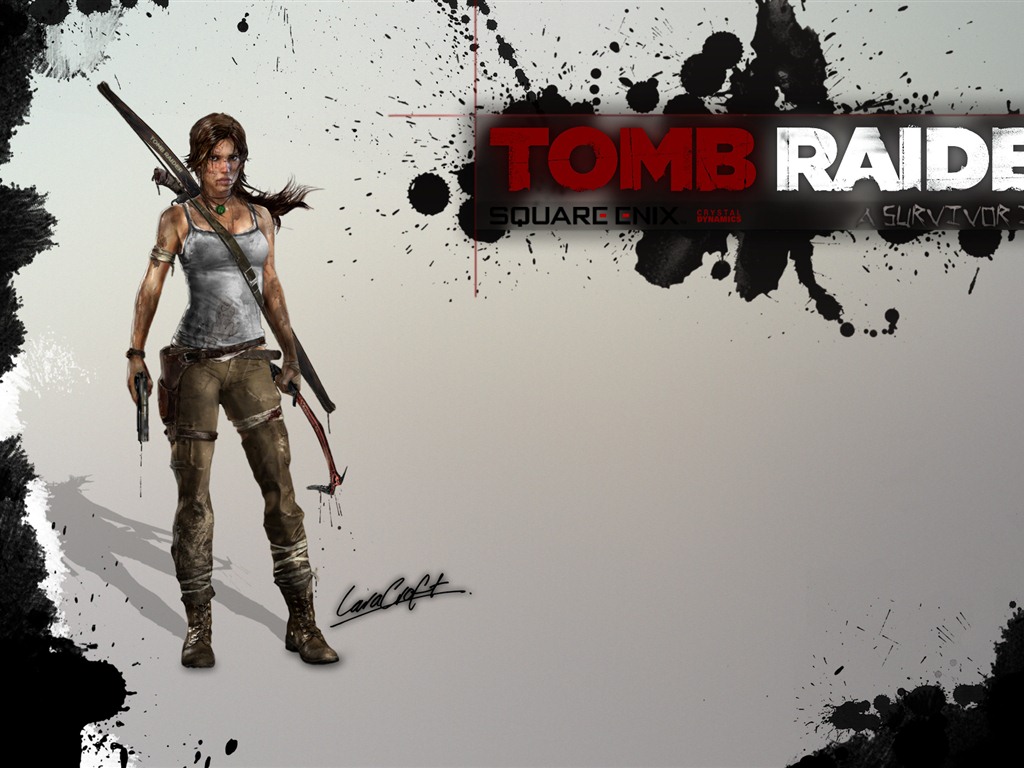Tomb Raider 9 HD обои #19 - 1024x768