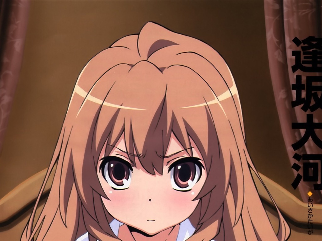 Toradora fonds d'écran HD #2 - 1024x768