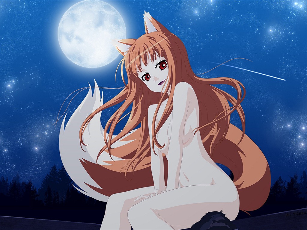 Spice and Wolf HD wallpapers #7 - 1024x768