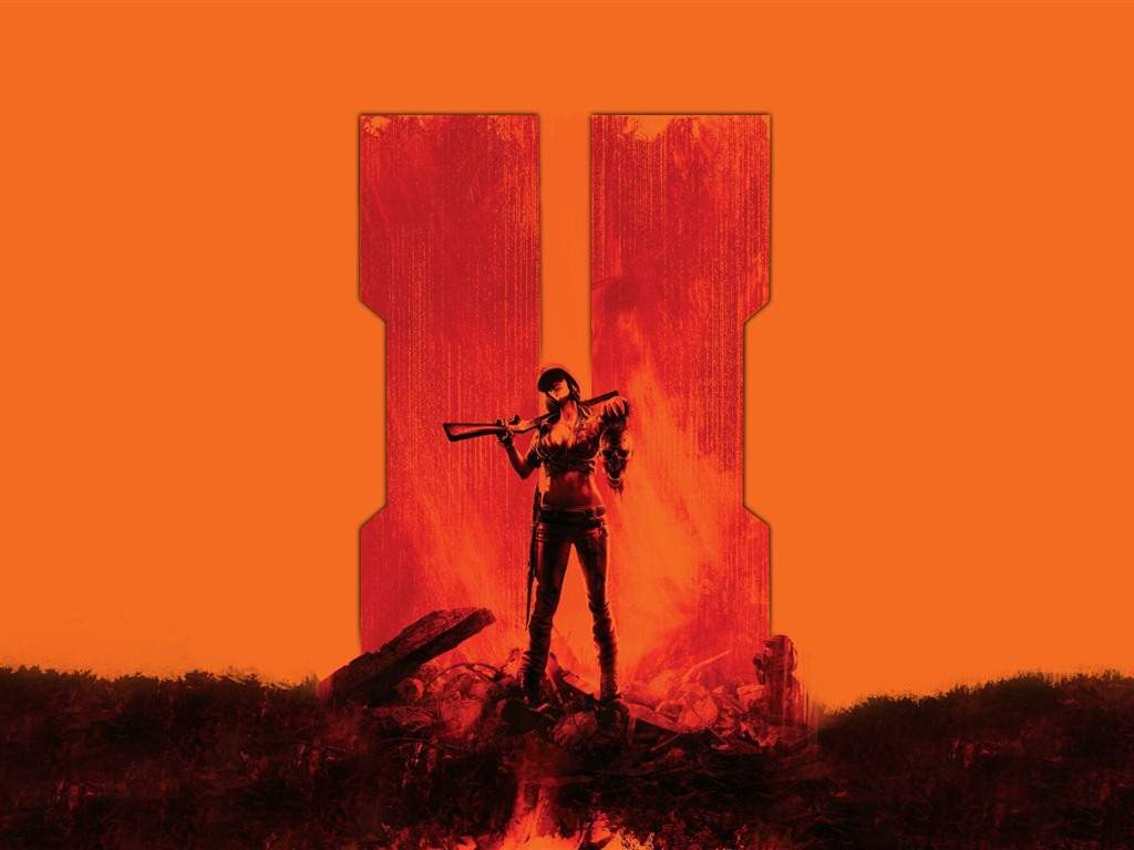 Call of Duty: Black Ops 2 HD wallpapers #3 - 1024x768
