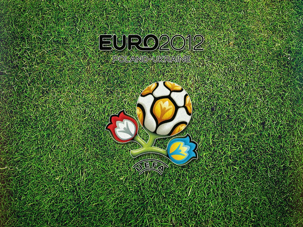 UEFA EURO 2012 欧洲足球锦标赛 高清壁纸(一)15 - 1024x768