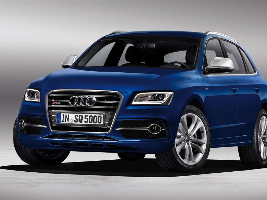 2013 Audi TDI SQ5 HD Wallpaper #1 - 1024x768