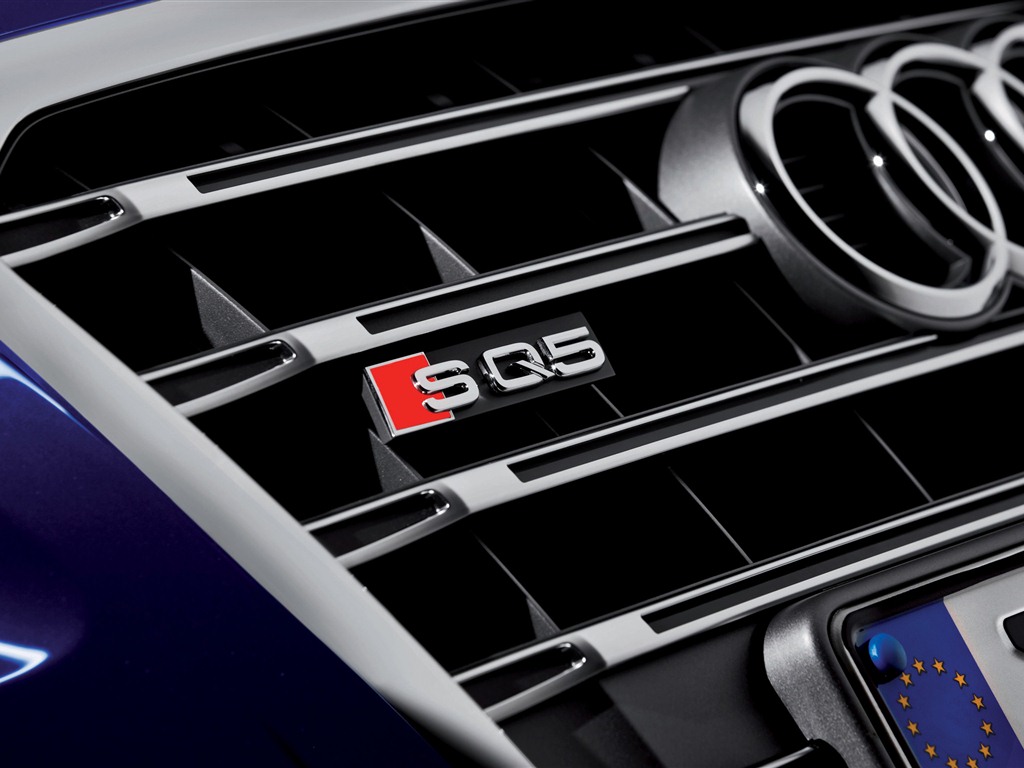 2013 Audi TDI SQ5 fondos de pantalla de alta definición #11 - 1024x768