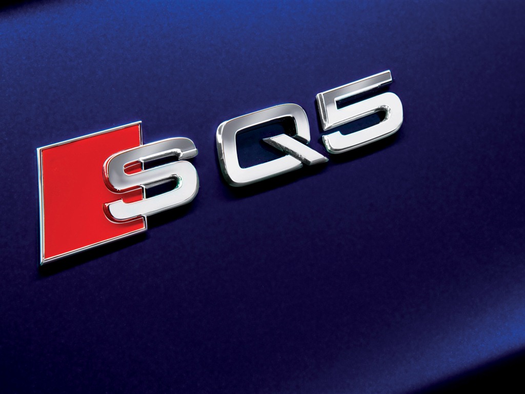 2013 Audi TDI SQ5 fondos de pantalla de alta definición #13 - 1024x768