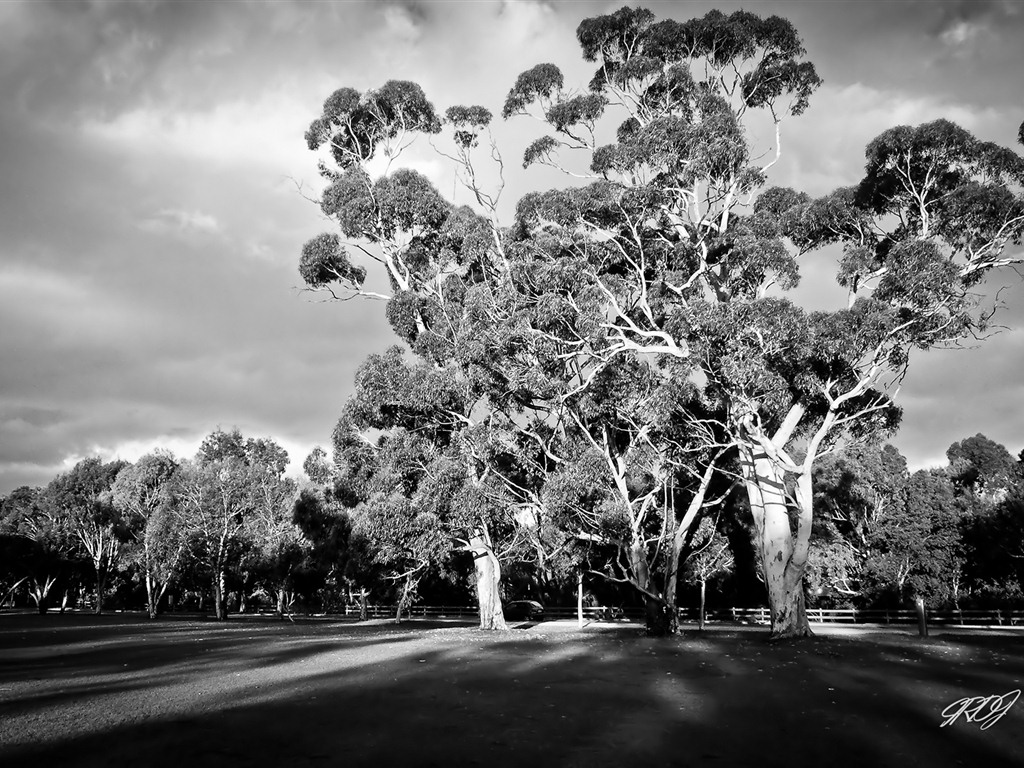Schöne Landschaft von Australien HD Wallpaper #7 - 1024x768