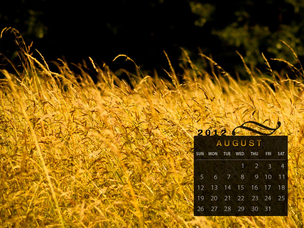 Calendario de agosto de 2012 fondos de pantalla (1) #2 - 1024x768