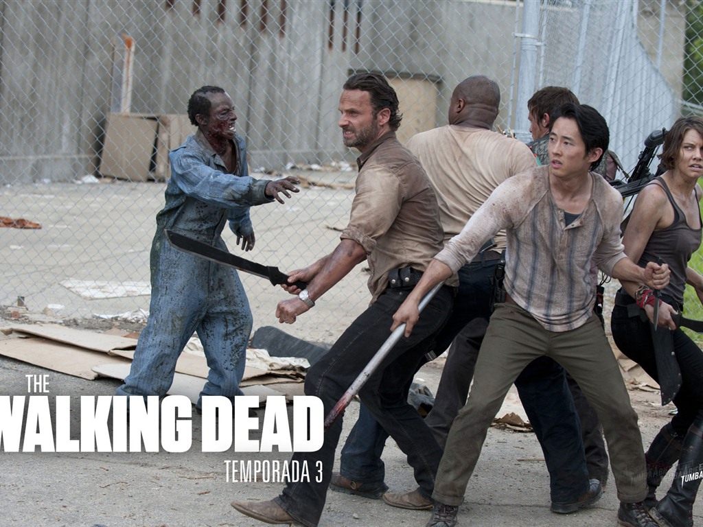 The Walking Dead обои HD #17 - 1024x768