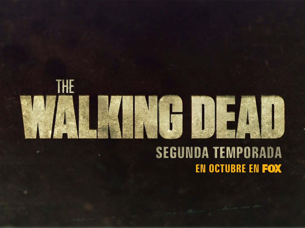 The Walking Dead обои HD #19 - 1024x768