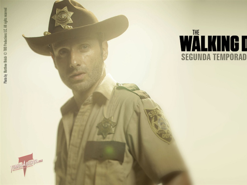 The Walking Dead fonds d'écran HD #23 - 1024x768