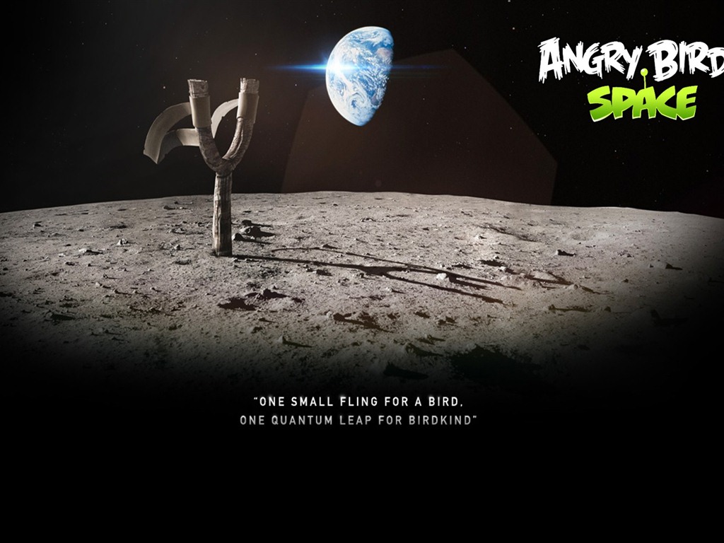 Angry Birds fonds d'écran de jeux #23 - 1024x768