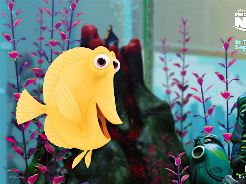 Hledá se Nemo 3D 2012 HD tapety na plochu #4 - 1024x768