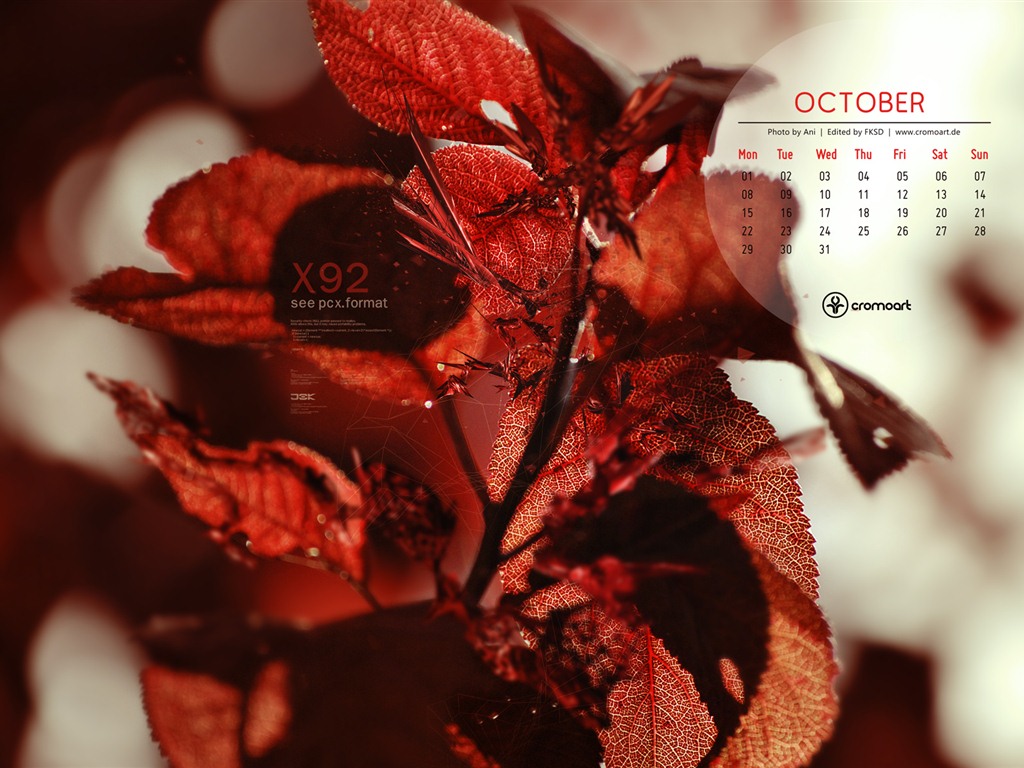 10 2012 Calendar fondo de pantalla (2) #20 - 1024x768