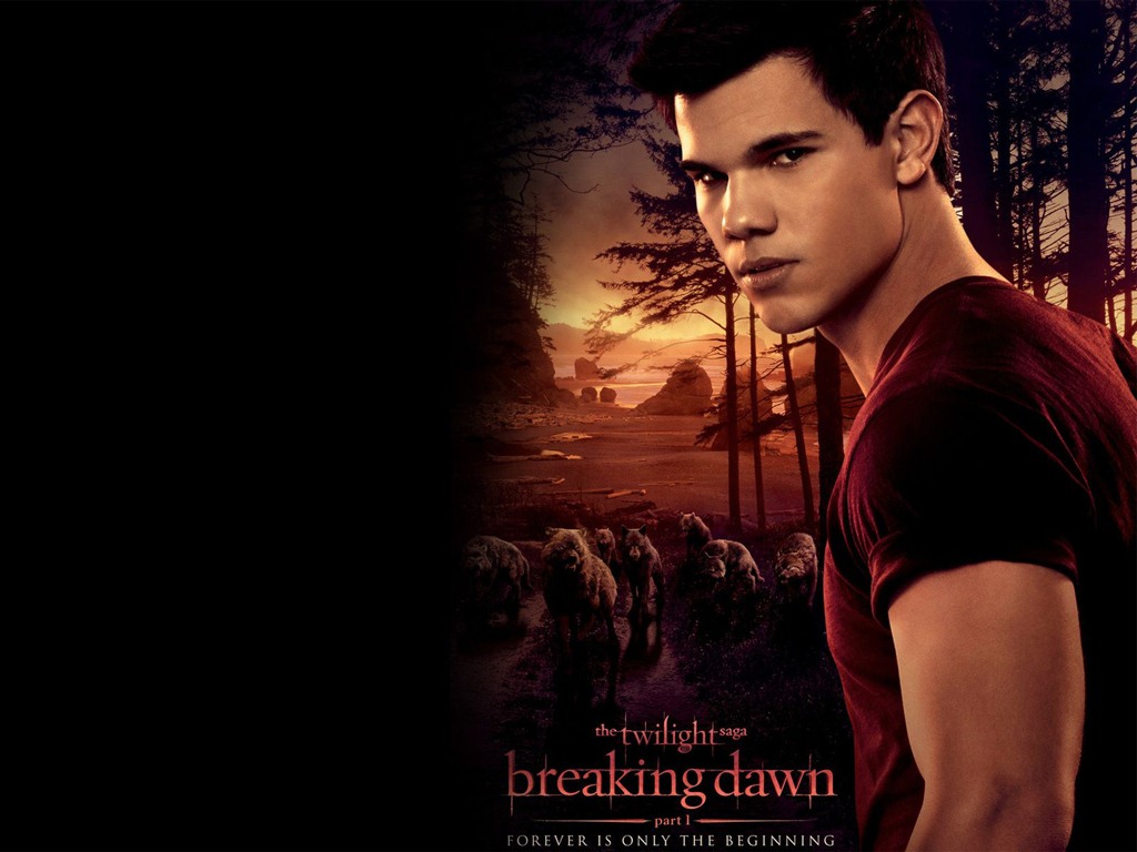 The Twilight Saga: Breaking Dawn fonds d'écran HD #29 - 1024x768