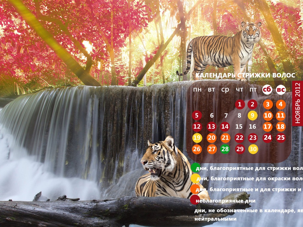 Novembre 2012 Calendar Wallpaper (2) #18 - 1024x768
