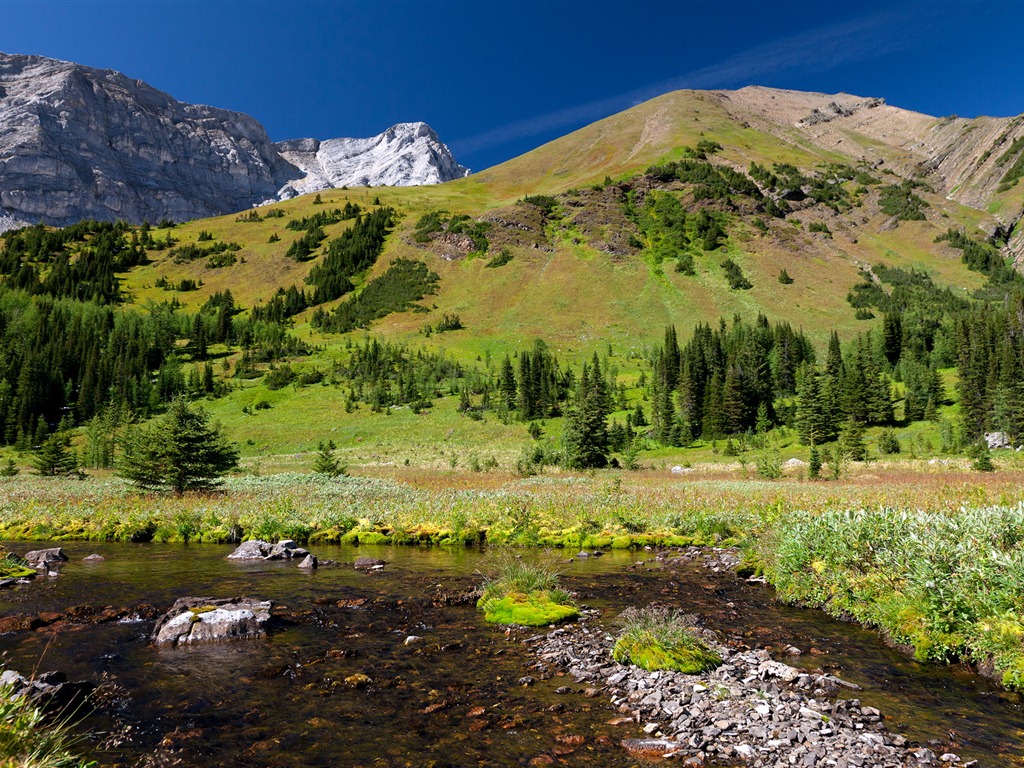 Impresionantes fondos de pantalla HD naturaleza #15 - 1024x768