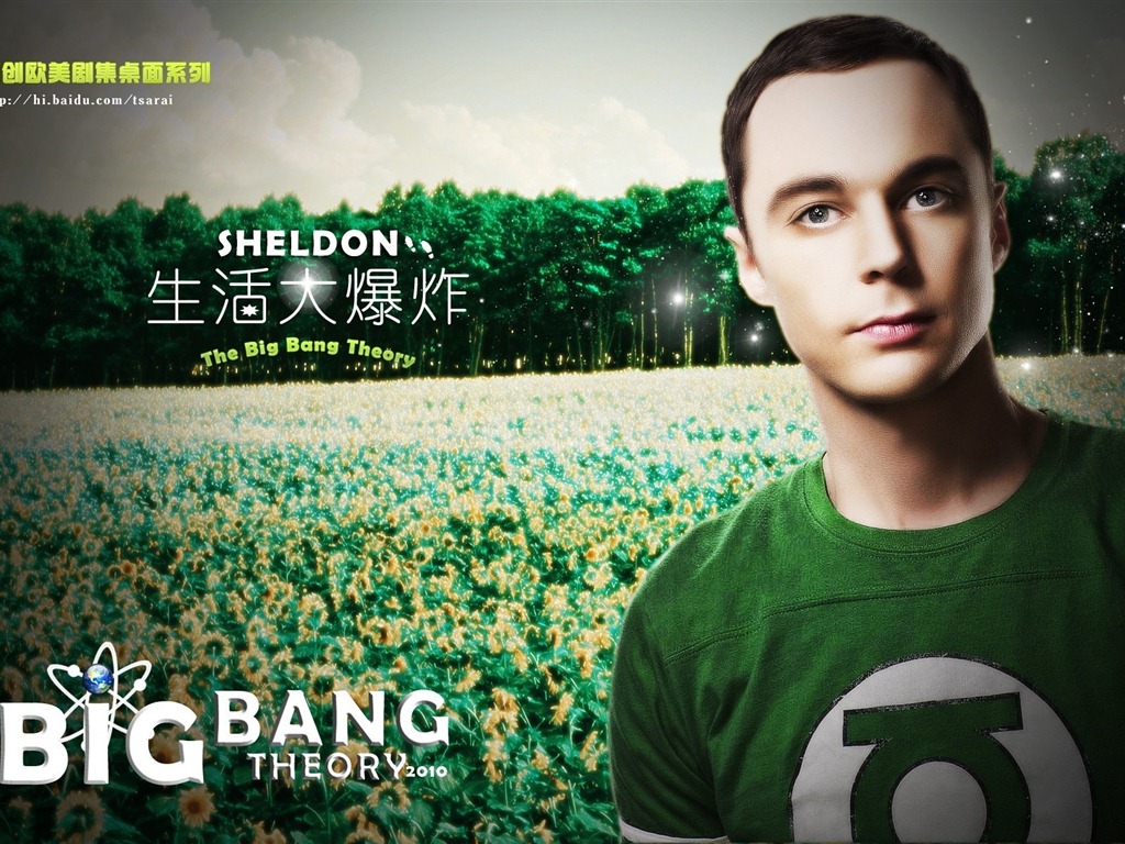The Big Bang Theory 生活大爆炸 电视剧高清壁纸16 - 1024x768