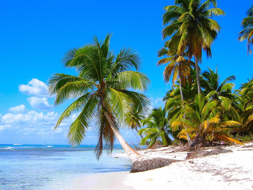 Windows 8: Fonds d'écran Shores Caraïbes #2 - 1024x768