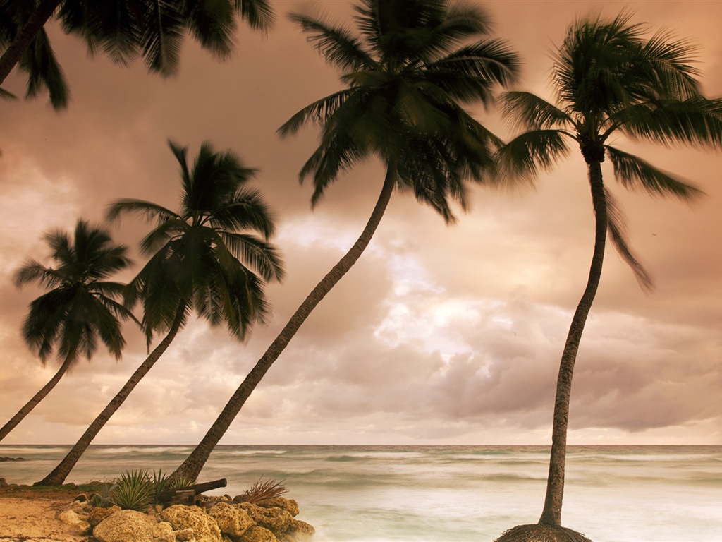 Windows 8 壁纸：加勒比海滨7 - 1024x768