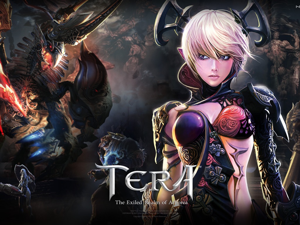 Fonds d'écran Tera jeux HD #1 - 1024x768